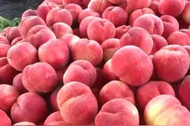 「溯源品鉴」天下第一桃——龙泉山水蜜桃图片