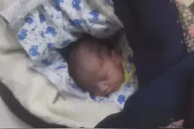 河北被弃女婴生母已找到，抱养夫妻涉嫌遗弃罪被采取刑事强制措施图片