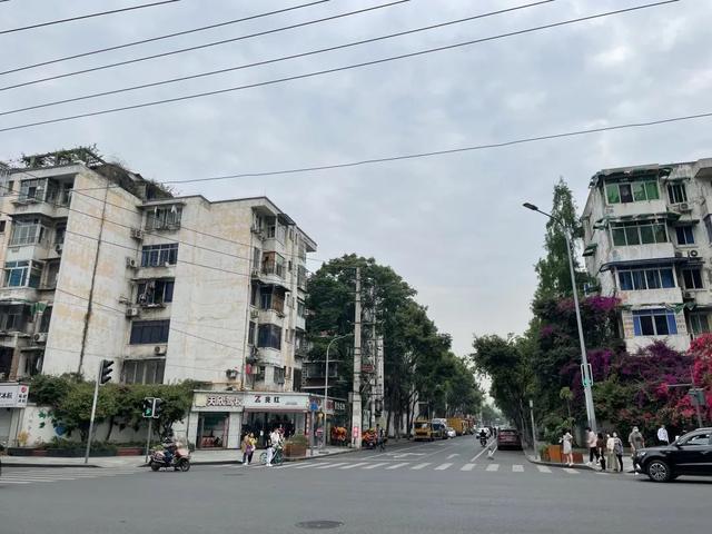 “拿北上广薪资，过成都生活”，这些互联网人过得巴适吗？