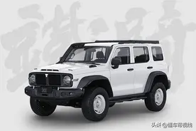 新车 | 颜色丰富，配置升级，坦克300铁骑02正式上市，限量1000辆图片