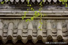 衙署赏花，遇见极致中国色图片