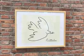 一幅名画《和平鸽》，毕加索心愿是什么图片