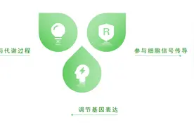 科学的理解和认识蛋白质图片