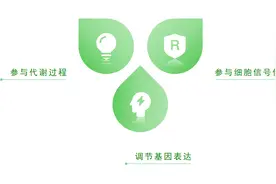 科学的理解和认识蛋白质图片
