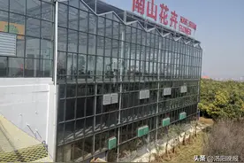 乡村振兴看洛龙：发展特色产业，打造“洛阳城区后花园”图片