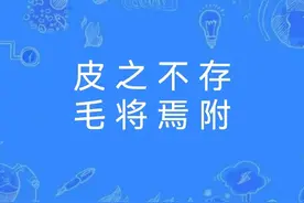 一天一成语:皮之不存，毛将焉附图片