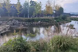 白云区：贯彻落实河长制 持续守护绿水青山图片