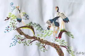 景泰县：弘扬民间艺术 传承民俗文化图片