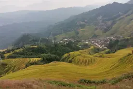 很讽刺的一句话：“我肯定不会让女儿嫁给广东本地人的”图片