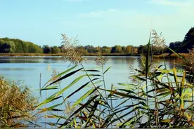 人到五十，突然不想和别人打交道了，也许是这几种心态图片