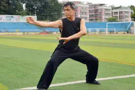 3分钟带你了解蔡李佛拳图片