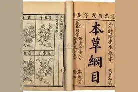 李时珍的“本草纲目”主要记载了什么？有何用处？图片