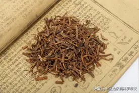 一剂龙胆泻肝汤，补肝肾，让你一觉到天亮，远离半夜1到3点“醒”图片