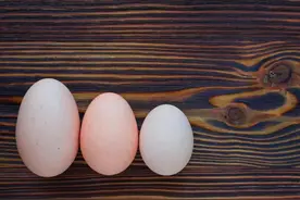 鸡蛋也分等级！官方标准：这个级别最新鲜图片