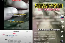 猪场跳闸致5000头猪死亡？南通警方辟谣：实为近300头，编造谣言者被处罚图片