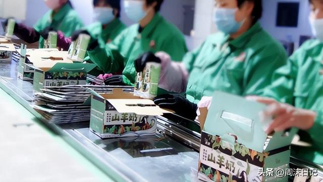 孕妇可以吃羊奶炖花胶 羊肉炖花胶孕妇可不可以喝
