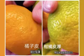 陈皮？橘子皮？还是做旧陈皮？图片
