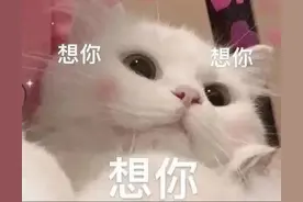 可爱搞笑的表情包：想你想你想你图片