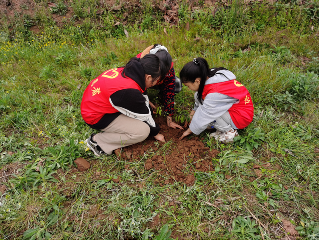 四川省民生研究会新媒体中心-官网
