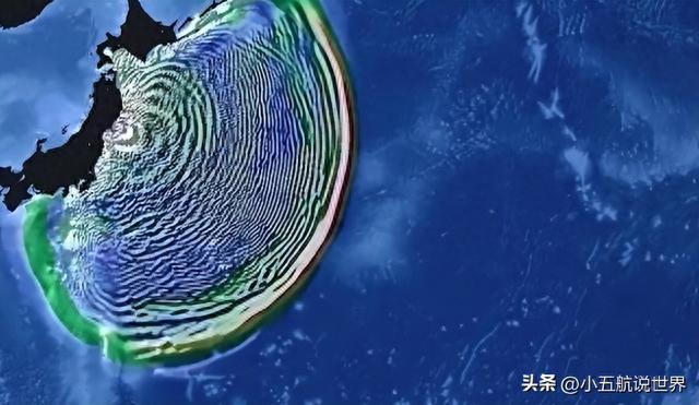 美国开始怕了：日本千叶出现海龟尸体，难道是核污水杀死的？