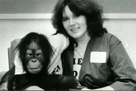 拥有人类灵魂、被囚禁30年的红毛猩猩抑郁离世，遗愿是吃口冰淇淋图片