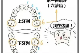 家长切记——“六龄齿”是恒牙，它很重要图片