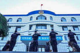 再见了，我的无言战友！！！图片