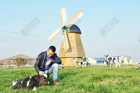 伊利只剩“华山一条路”图片