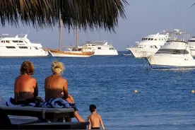 俄罗斯男孩度假区游泳被鲨鱼咬死，群众把鲨鱼拖上岸一顿痛打复仇图片