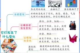 新出！三年级上册科学《每课考点思维导图》，学霸满分吃透这24张图片