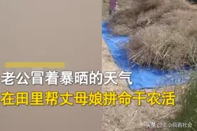 女婿全程卖力帮丈母娘干活，女子恍然大悟，难怪自己才是“外人”图片