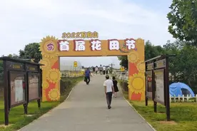 超火打卡地！百亩向日葵花海，太漂亮了……图片