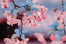 这样的女人，多半是富贵命图片