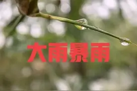 12~15号，中到大雨暴雨来袭，连下四天，今春要冷哭？农谚咋说？图片