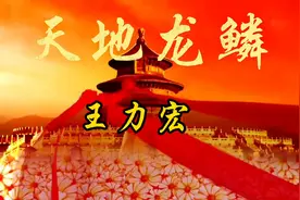 王力宏：天地龙鳞图片