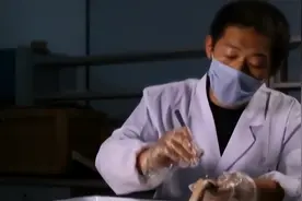 18年山西蛇灾，数百条蛇一夜间“自杀”，后两个专家调查发现端倪图片