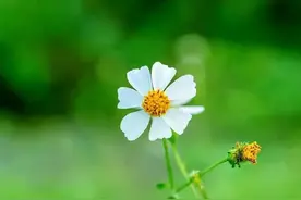 接公婆来家里住后，除了诸多的不习惯，还影响跟老伴儿的正常生活图片