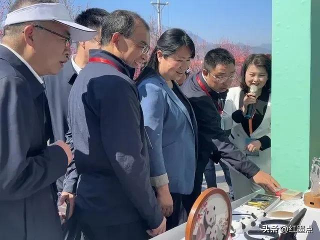 不靠颜值靠实力！四川“最年轻”女市长，25岁副处：这个能力太强