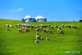 呼伦贝尔大草原超全攻略，自驾|包车|跟团，去草原一定要收藏下图片
