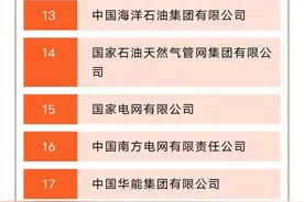 98家！中央企业最新名录公布图片
