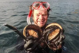 世界上最大的鲍鱼，一只足够10个人吃，为啥中国不引进人工养殖？图片