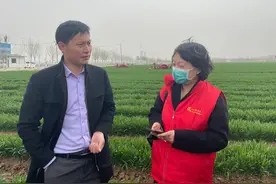 让分不清韭菜和麦苗的人也能种辣椒图片