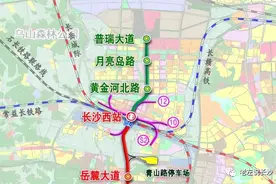 重大利好！纳入湘江新区！新增3站地铁！高铁西城起飞在即图片