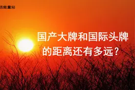 经历过华为和荣耀的客服，就知道国产大牌和国际头牌的距离还很远图片