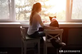 随笔系列七十九：令人喷饭的歇后语图片