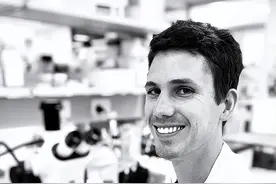 蜇人最疼的生物排名！来自这些科学家的亲身经历图片