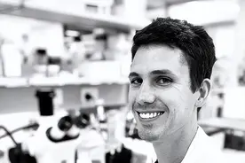 蜇人最疼的生物排名！来自这些科学家的亲身经历图片