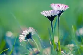 享受生活爱自己的正能量句子，慢时光，静生活的唯美心情说说图片