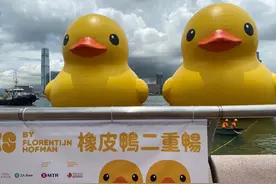 醒目！大黄鸭“游”进维港丨香港一日图片
