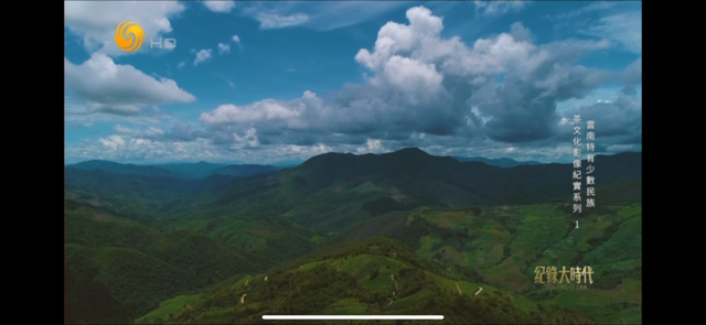 凤凰卫视播出！云南少数民族茶香飘向世界